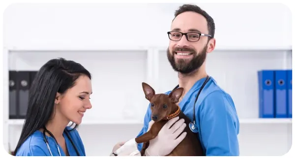 veterinaria en Miraflores