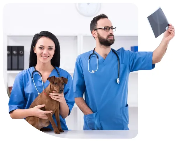 veterinaria en Miraflores